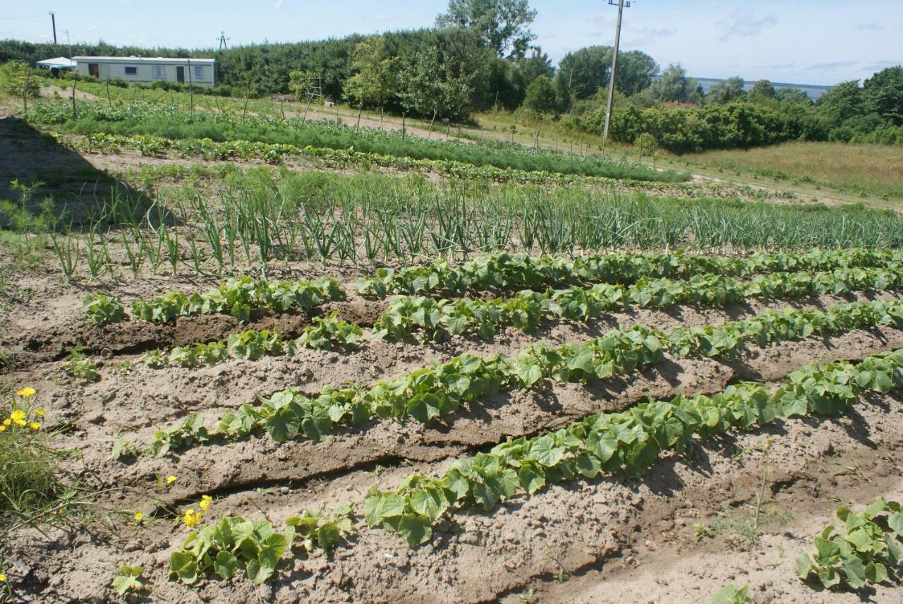 Agrodomki Okej -Dom Kasjan Gardna Wielka Exterior foto
